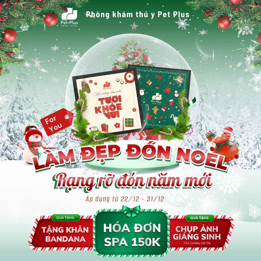 Banner giới thiệu phòng khám thú y PET PLUS