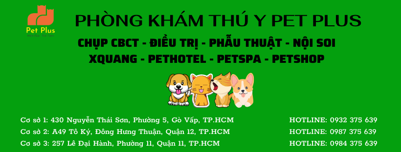 Thông tin phòng khám thú y PET PLUS với 3 cơ sở và các dịch vụ chính